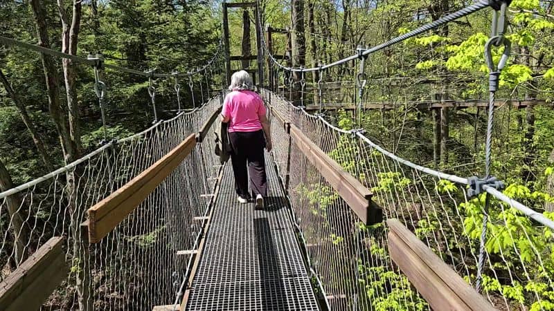 One Breathtaking Ohio Nature Spot Takes You High Among The Treetops For A Once-In-A-Lifetime Adventure Safety, Sway, And Accessibility