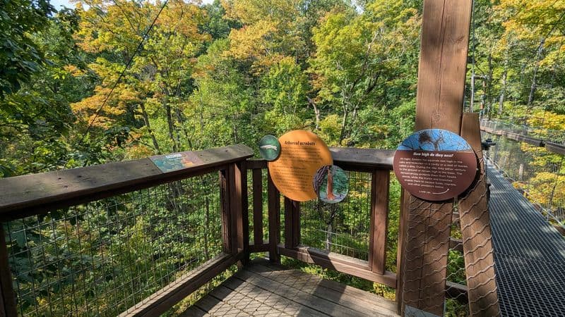 One Breathtaking Ohio Nature Spot Takes You High Among The Treetops For A Once-In-A-Lifetime Adventure Learning Among Leaves And Wildlife