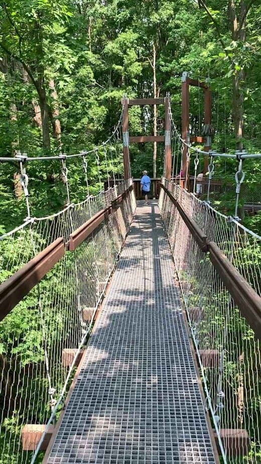 One Breathtaking Ohio Nature Spot Takes You High Among The Treetops For A Once-In-A-Lifetime Adventure Easy, Kid-Approved Adventures