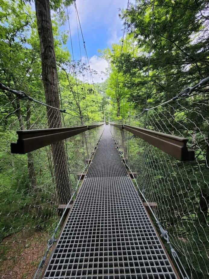 One Breathtaking Ohio Nature Spot Takes You High Among The Treetops For A Once-In-A-Lifetime Adventure Plan The Perfect Visit