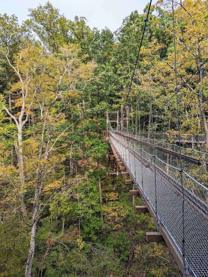 One Breathtaking Ohio Nature Spot Takes You High Among The Treetops For A Once-In-A-Lifetime Adventure Capture The Moment, Then Feel It