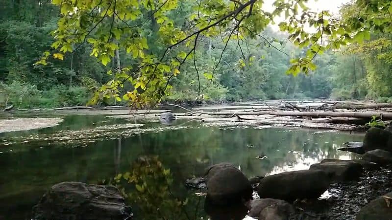 The riverside views here make it hard to believe this place stays so quiet