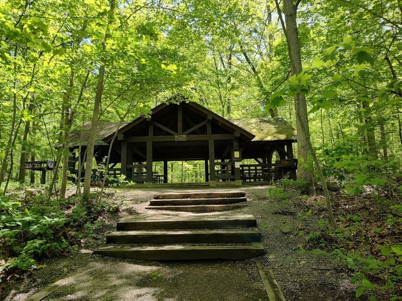 What to see along the trails, water, and wooded corners of the park