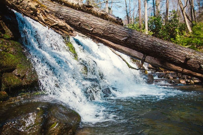 There is more to this trail than just the big summit payoff