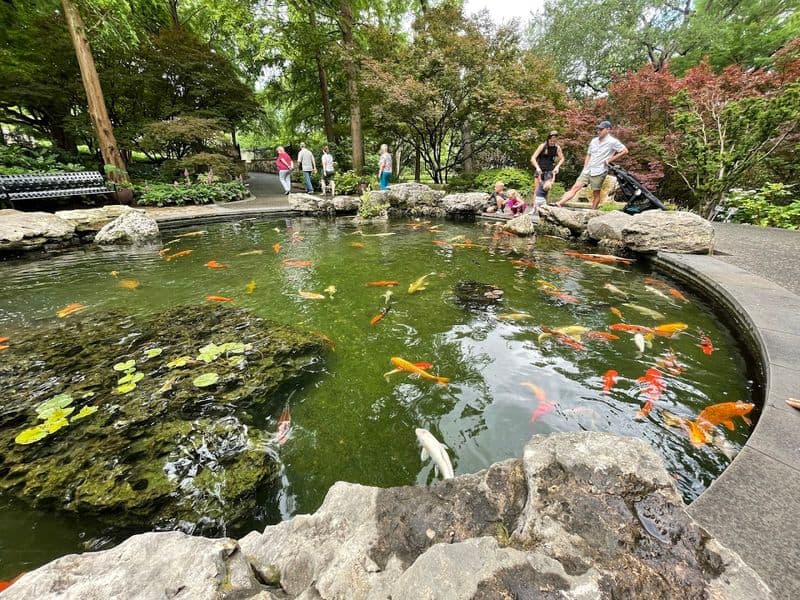 The Rory Meyers Children&rsquo;s Adventure Garden