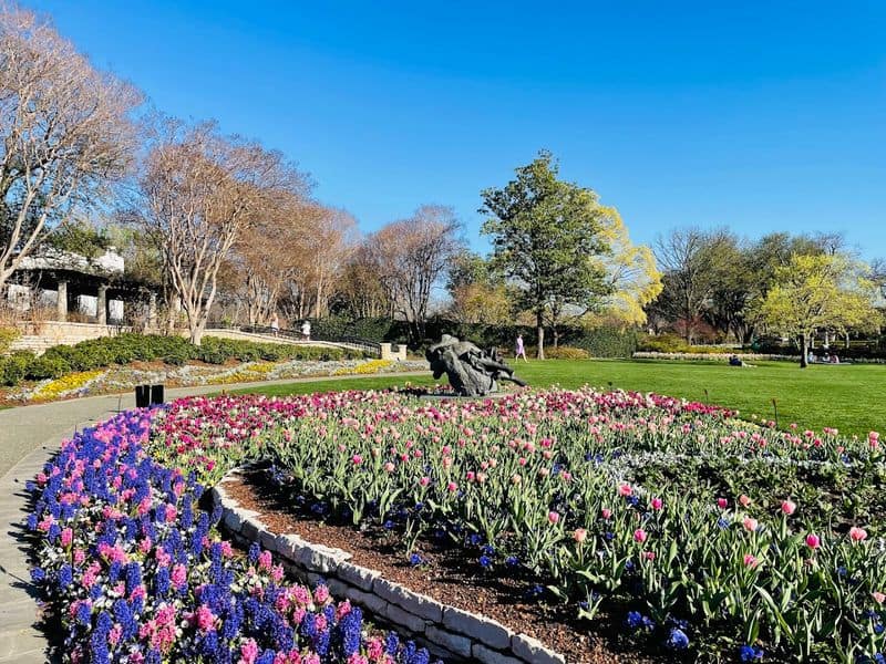 Seasonal Showstoppers: Dallas Blooms