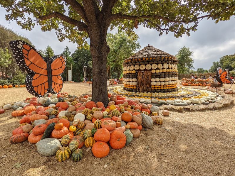 Autumn Pumpkin Village and Foliage