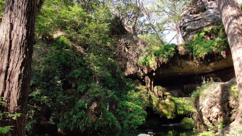 Flora, Fauna, And Unexpected Encounters