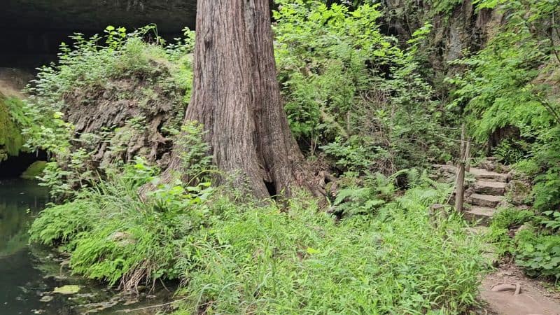 Family-Friendly Logistics And Accessibility