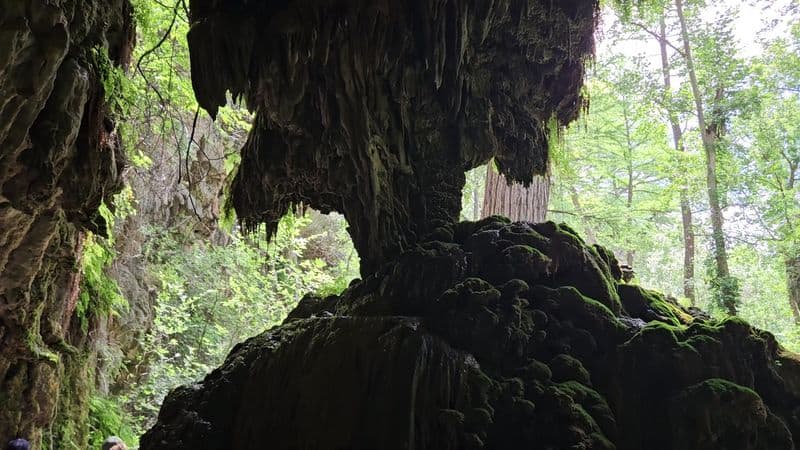 Photography Tips Without Disturbing Nature