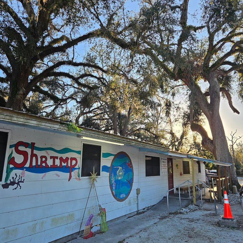 The Fresh-Shucked Oyster Experience