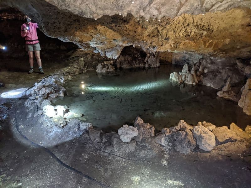 Guided Tours and What to Expect