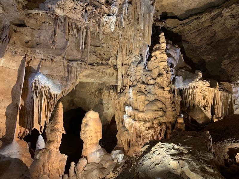 Geology and Living Formations