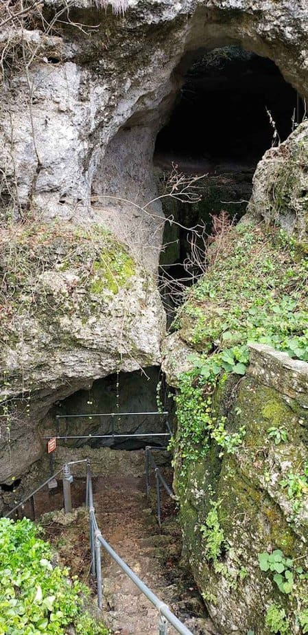 Best Time to Visit and Hours