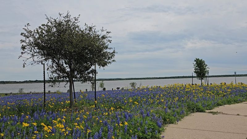 Family Picnic Spots With a Wildflower View
