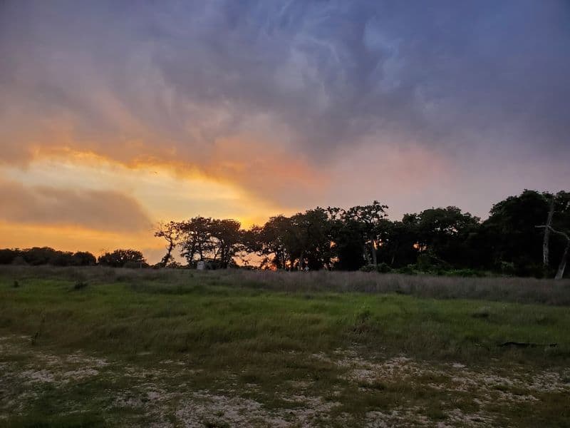 Horseback Rides Through Blooming Trailway
