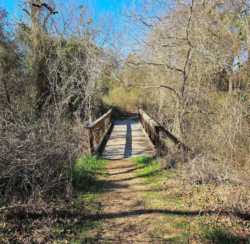 Timing, Etiquette, and Local Essentials