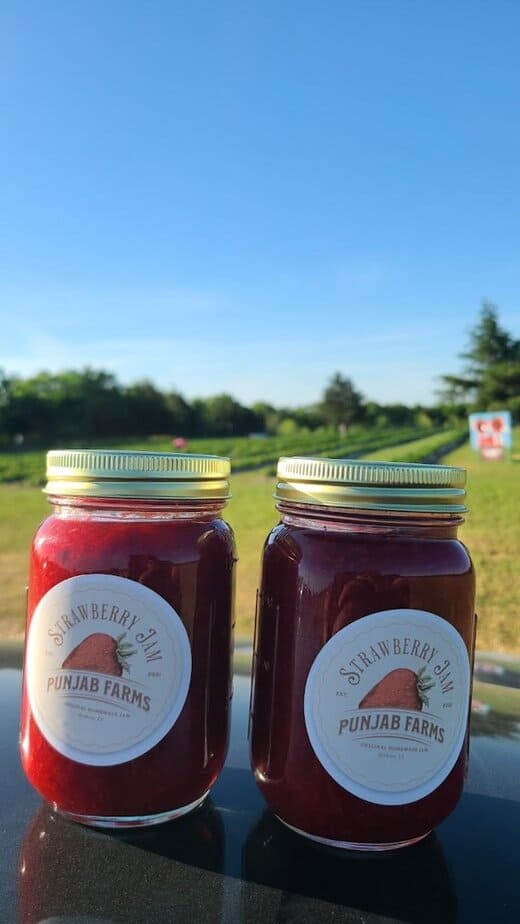 Strawberry Picking Season Is Now Open at This Popular North Texas Farm From Field To Jar House Made Jam