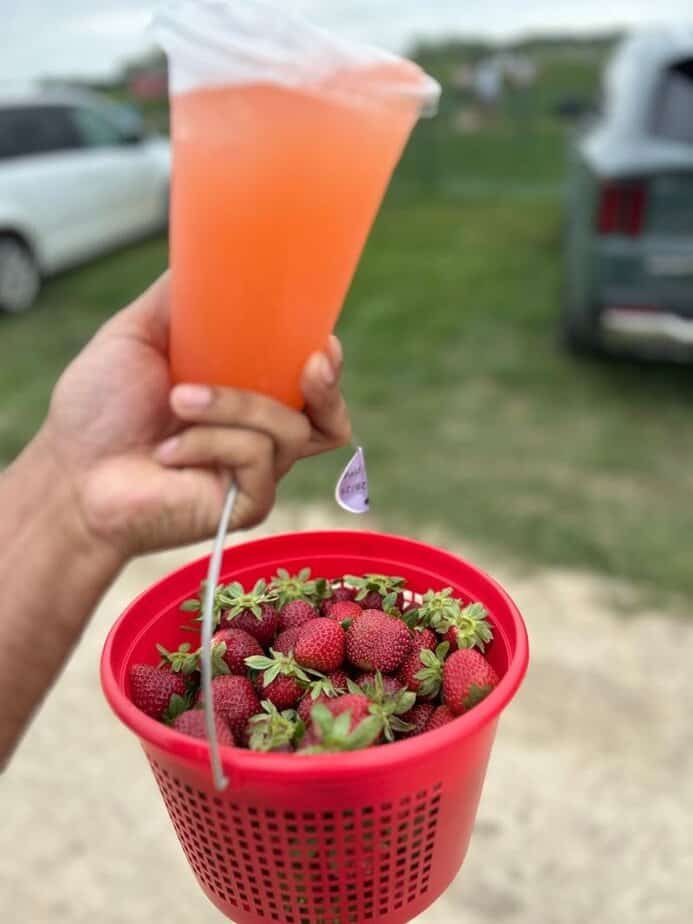Strawberry Season Is Here—This Texas Farm Is the Place to Go Snacks, Sips, and Souvenirs