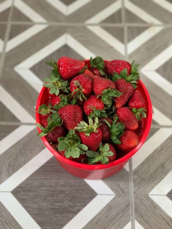 Strawberry Season Is Here—This Texas Farm Is the Place to Go Keep Berries Fresh After You Leave