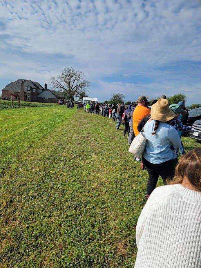 Strawberry Season Is Here—This Texas Farm Is the Place to Go When to Go and How the Hours Work