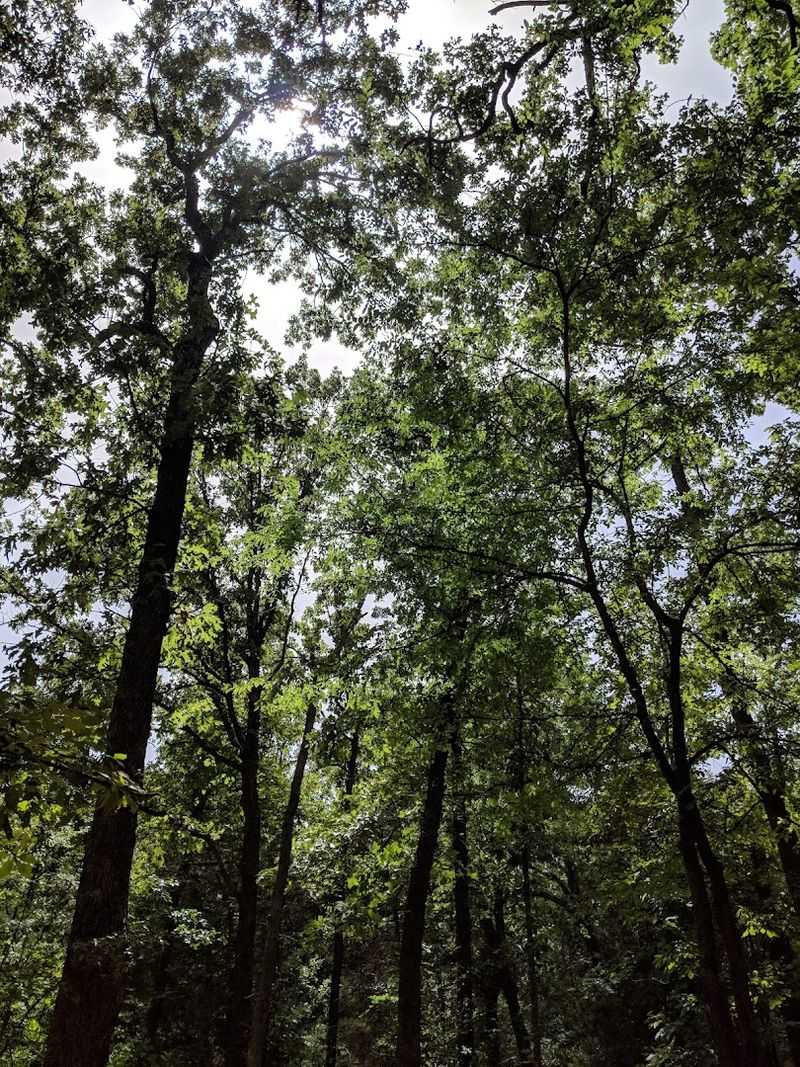 Cooling Miles By Bike