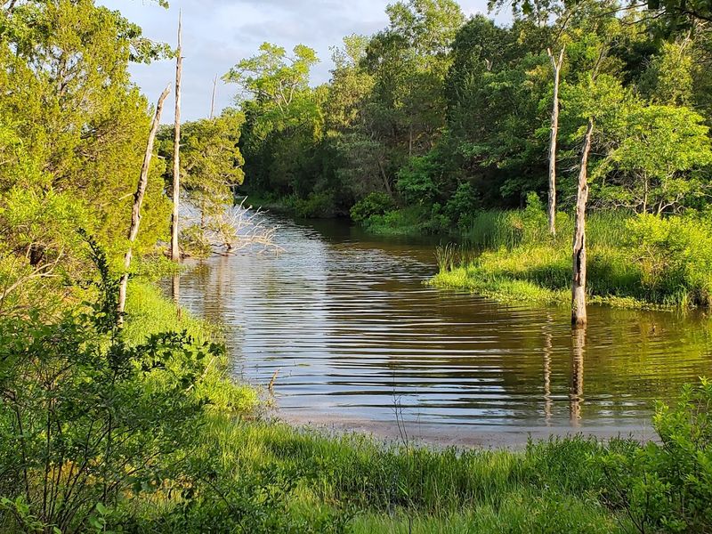 Plan For Maximum Cool