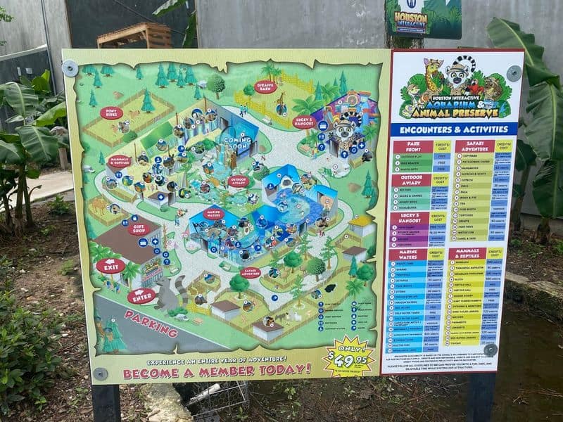 Points, Wristbands, And Planning Your Day