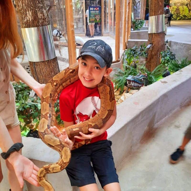 Reptiles, Octopus, And Expert Guides