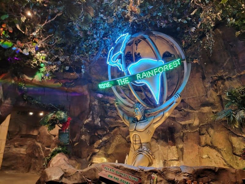 Why This Ride Exists Only Here