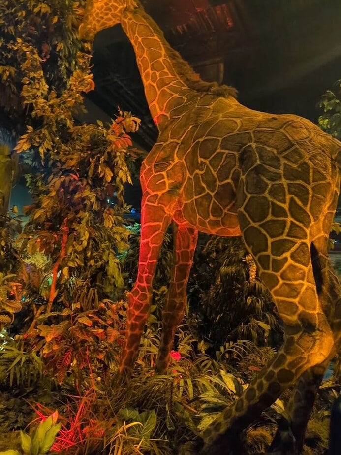 Texas Has the Only Rainforest Café Ride in the World…And It’s Hidden Under the Restaurant What You See On The Ride