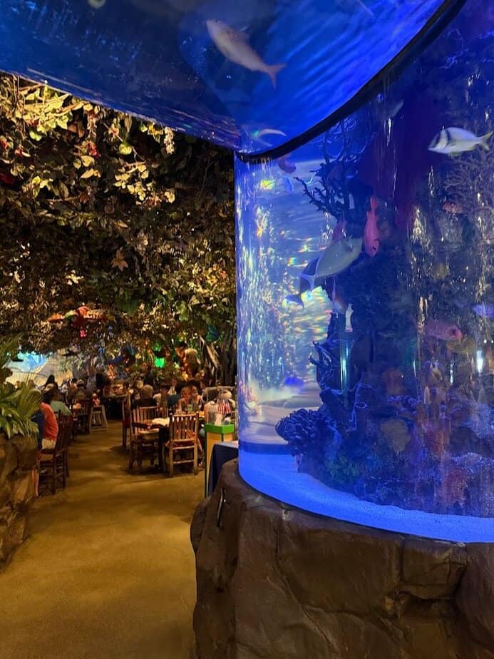 Texas Has the Only Rainforest Café Ride in the World…And It’s Hidden Under the Restaurant Accessibility and Rider Comfort