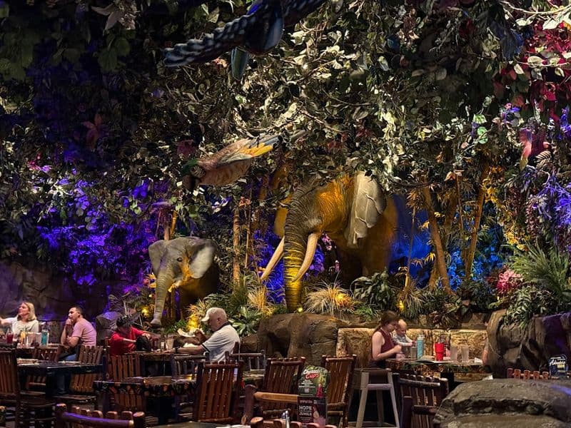 Texas Has the Only Rainforest Café Ride in the World…And It’s Hidden Under the Restaurant Local Tips From Happy Regulars