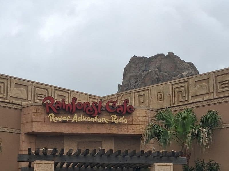Texas Has the Only Rainforest Café Ride in the World…And It’s Hidden Under the Restaurant Finding the Entrance and Buying Tickets