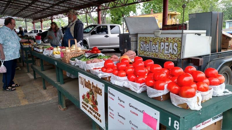Peak Season Produce Finds