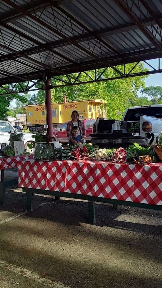 Local Meats and Farm Eggs