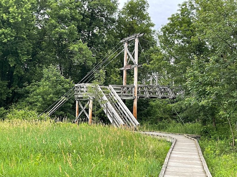 When to Visit for the Best Views and the Fewest Crowds