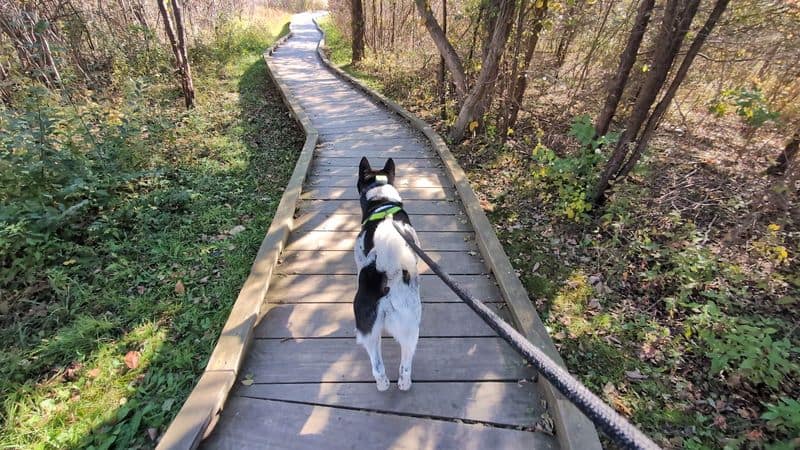 Why This Family-Friendly Hike Belongs on Every New Jersey Bucket List
