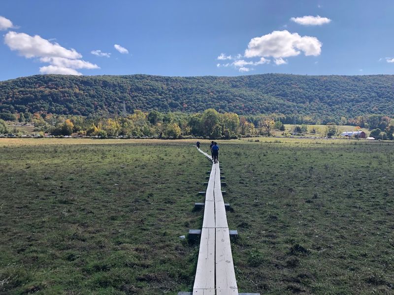 Why the Pochuck Boardwalk Is One of the Easiest Scenic Walks in the State