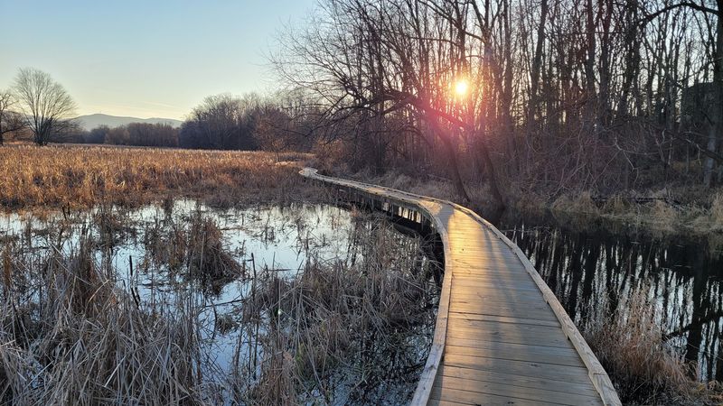 What You&rsquo;ll See Along the Wetlands and Marshes of Glenwood