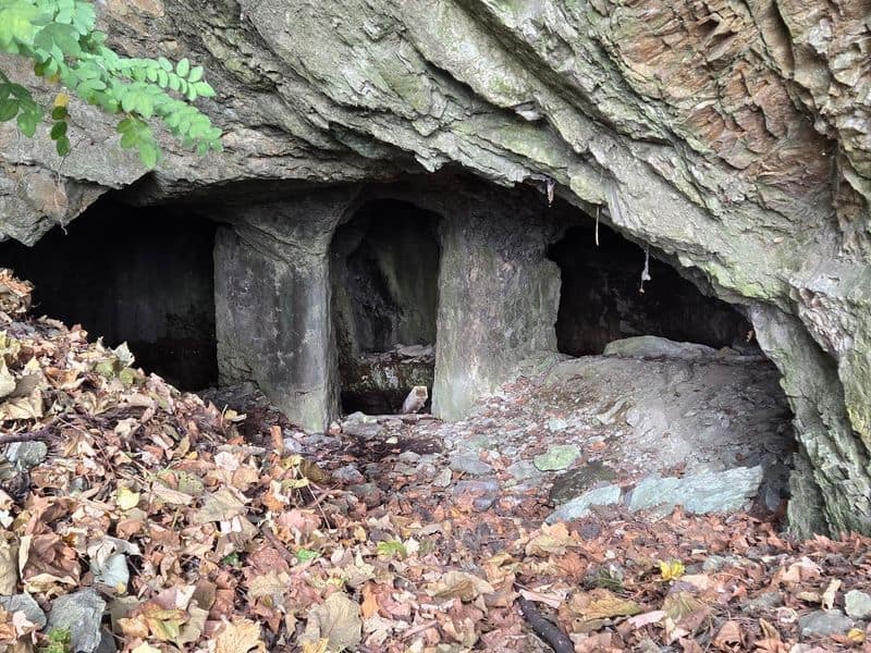 Why the Mary Rogers Case Still Haunts the Hudson Waterfront