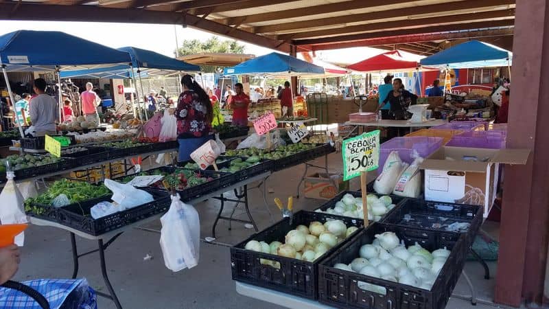 Smart Layout Strategy: Loops, Shade, and Rest Stops