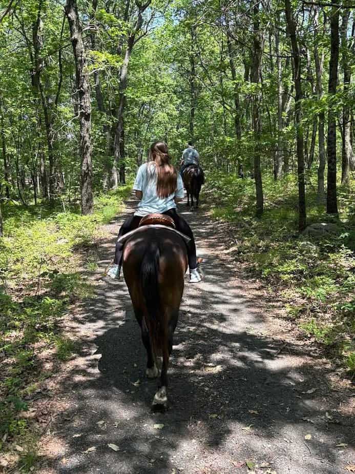 The Horseback Riding Destination in New Jersey That Lives Up to the Hype Why Echo Lake Stable Keeps Drawing Riders From Across New Jersey