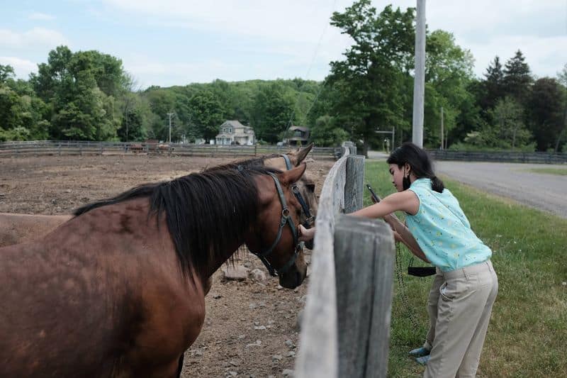 The Horseback Riding Destination in New Jersey That Lives Up to the Hype A Beginner-Friendly Experience That Still Appeals to Seasoned Riders
