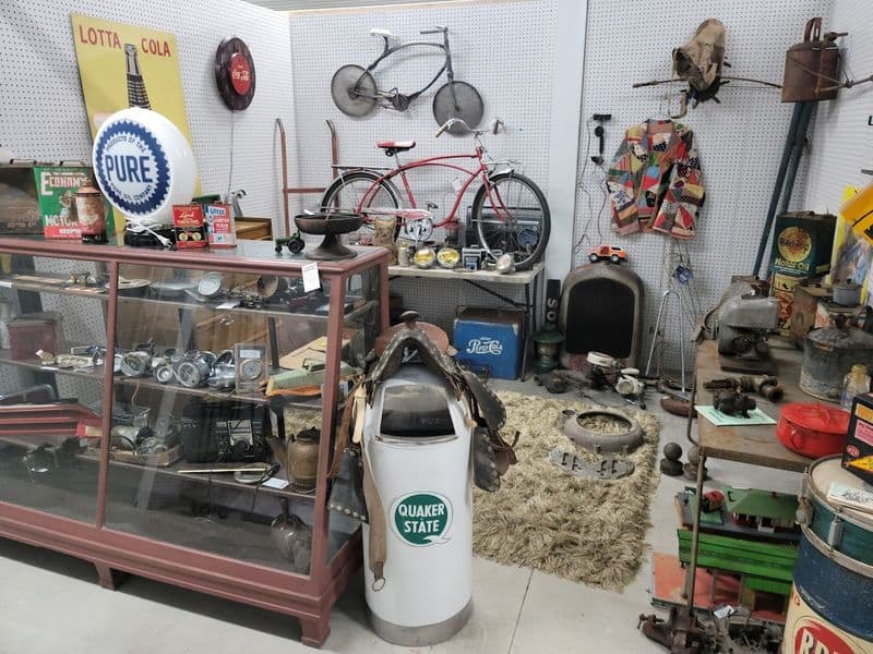 Your Perfect Land Lion Itinerary