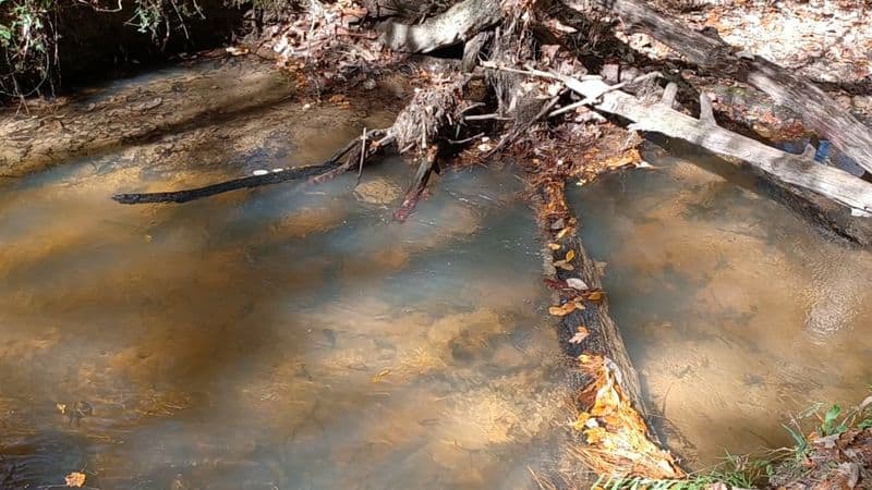 The Longest Hiking Trail in Texas Is 96 Miles—and It’s Right Outside Houston Wet Feet, Big Smiles: Handling Water and Mud