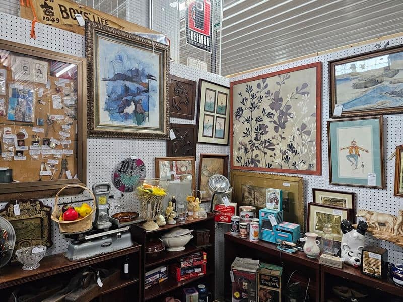 Categories That Deliver Value