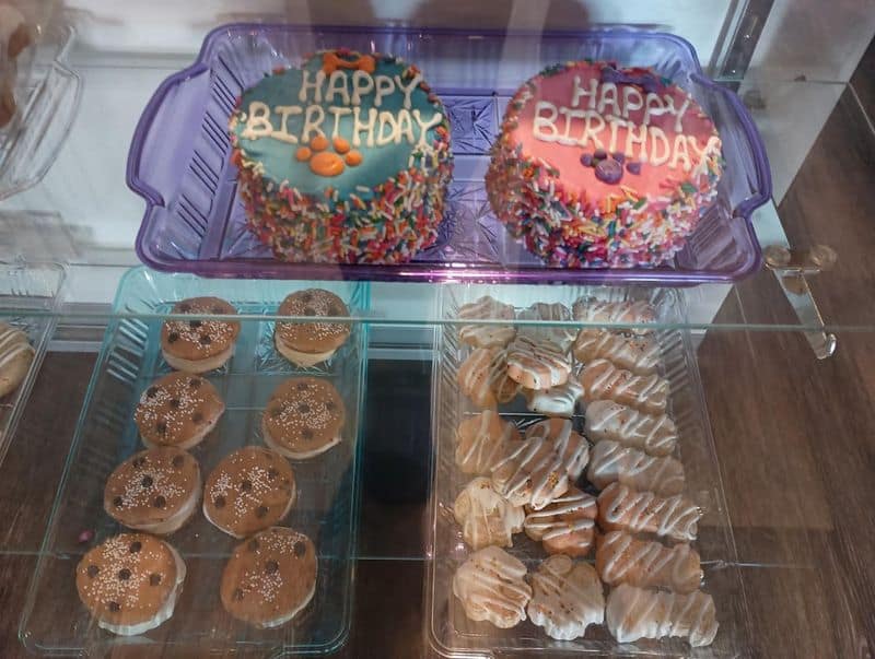 The homemade dog treats that make every tail wag on sight