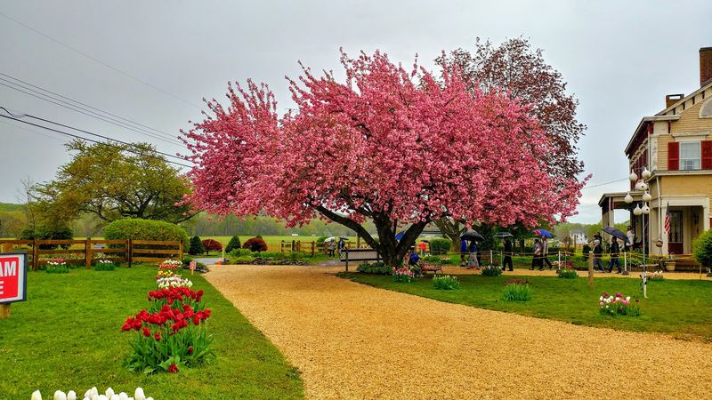 Why Locals Say One Trip Here Is Never Enough