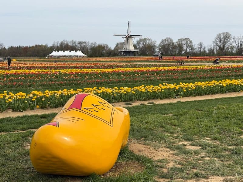 The Colorful U-Pick Experience Families Come Back For Every Year